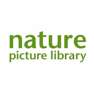 Nature Picture Library profile