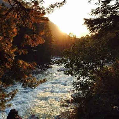 Nature_Lovers profile