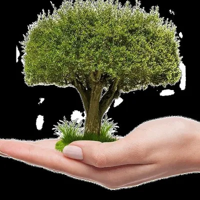 Nature Short videos profile