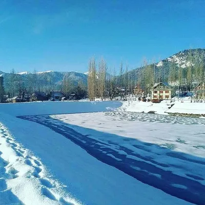 Travel diaries profile