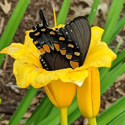 Nature’sPerspectivePhotography profile