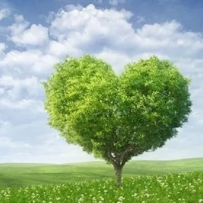 Nature Lover profile