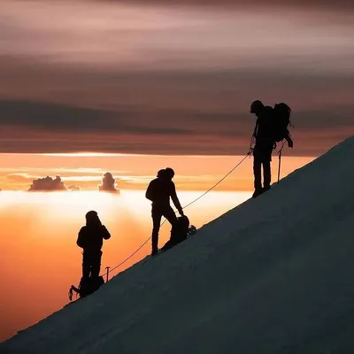 Travel Adventure Nature profile