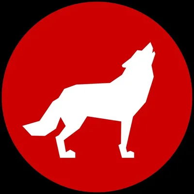 NC State University profile