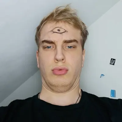 Karl profile