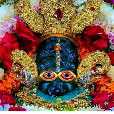 श्याम प्रेमी2414🌹Neel profile