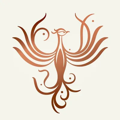 Neel Chavan profile