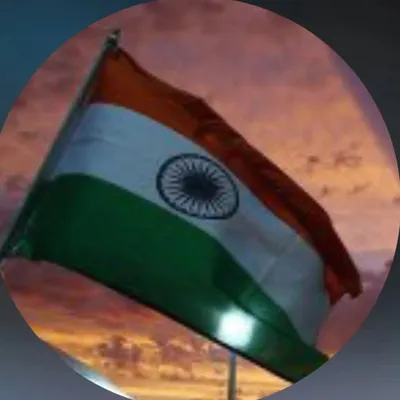 Viral_Reel_World🔵 profile