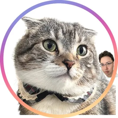 ねこぞー(Yuki Noro) profile