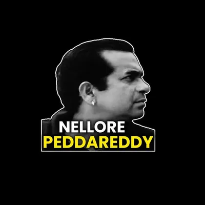 Nellore Peddareddy profile