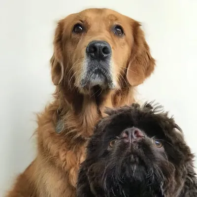 Nelly & Cocoa profile