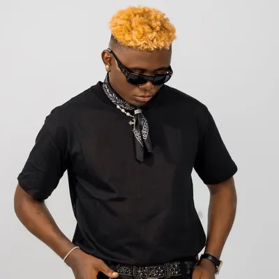 Nelson Cool (Sugar Of Lagos) profile