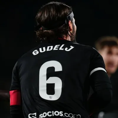 Nemanja Gudelj profile