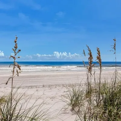 Neptune Beach profile