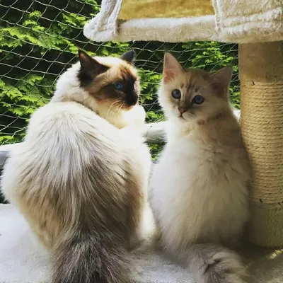 ๐ธ Nero & Milou ๐ธ profile