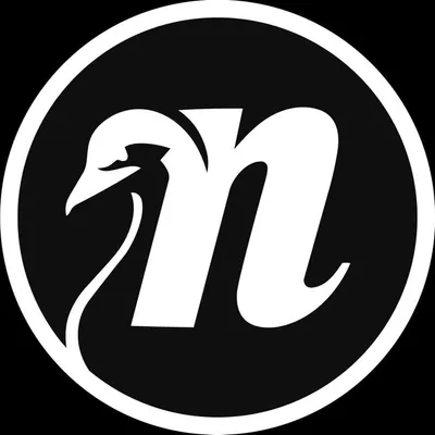 Nessaj profile