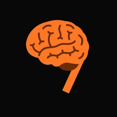 Machine Learning & Coding ๐ป๐ง profile