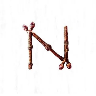 New Branches profile