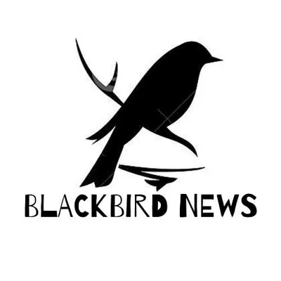 Blackbird News profile