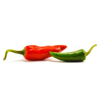 Ngidam Sambel profile