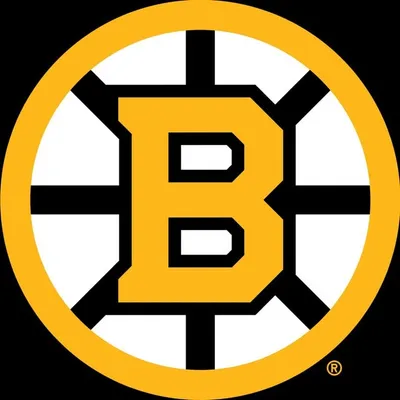 Boston Bruins profile