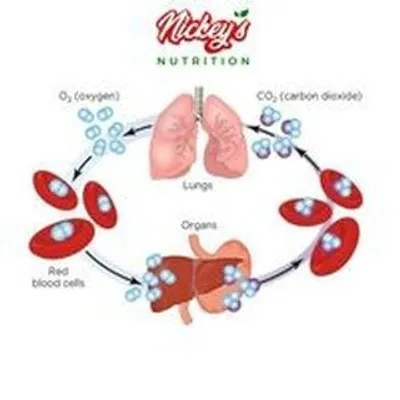 Nickeys Nutrition profile