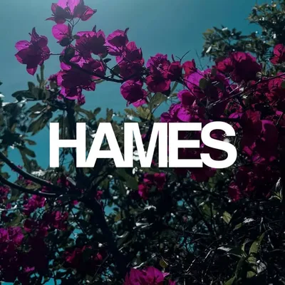 HAMES profile