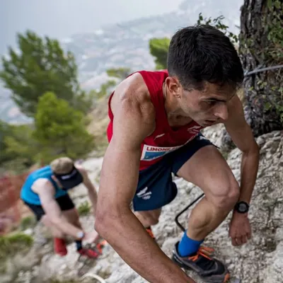 Nicolás Lasen Pingel profile