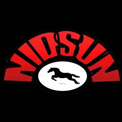 NidSun Wellness profile