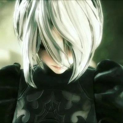 NieR:Automata profile
