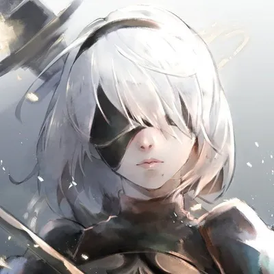 Nier Automata 2b profile