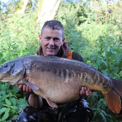 Nigel Sharp profile