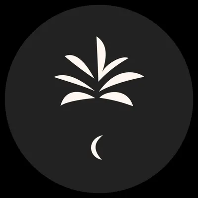 Night Palm Villa profile