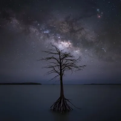 World ๐ Night ๐Feature ๐ Page profile