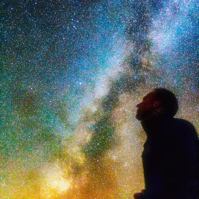 Night Sky Flying profile