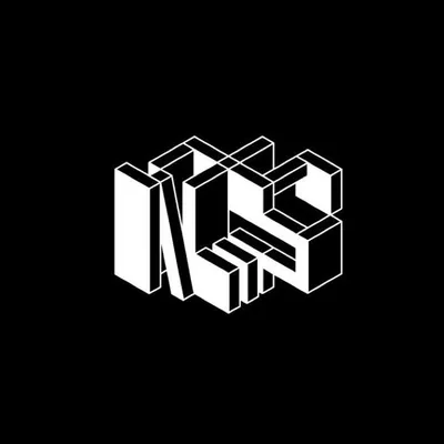 Night Slugs profile