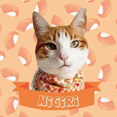๐ฃ Lady Nigiri profile