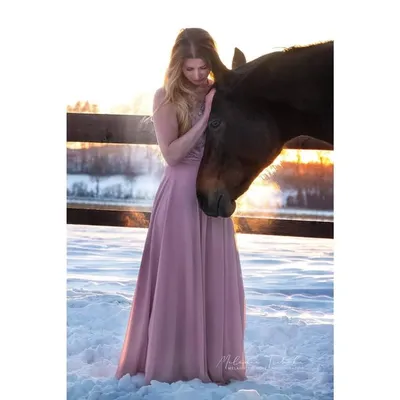 Nika | Dressurpferdezucht & Jungpferde profile