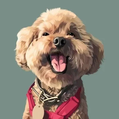 欣穎 謝 profile