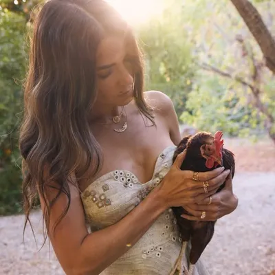 Nikki Reed profile