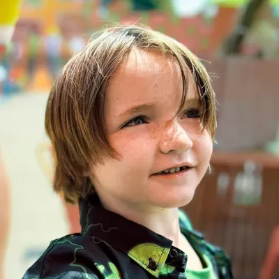 Niko Bear McBride profile