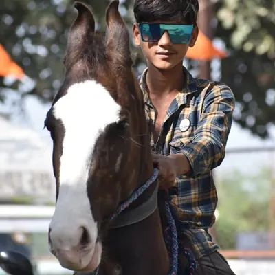 નિકૂલભરવાડ profile