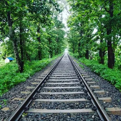 nilambur tourism profile