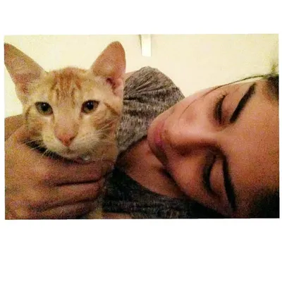 Nine Lives & Co profile