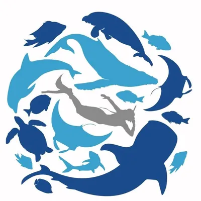 Ningaloo Marine Interactions profile