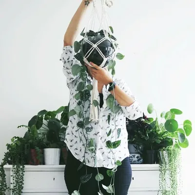 ๐ฑ Anne van Ours ๐ฑ profile