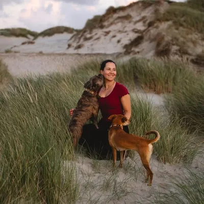 Hundeblog | Alltagsabenteuer | Vanlife profile