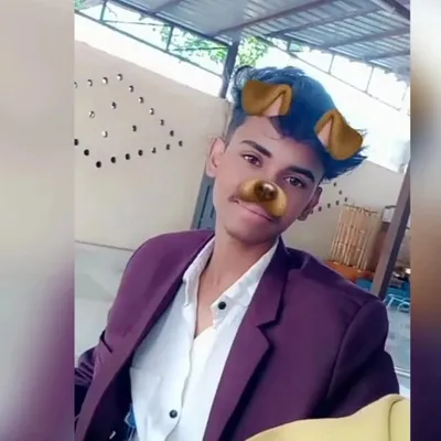Nɪᴛɪɴ profile
