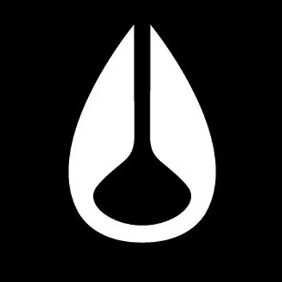 Nixon profile