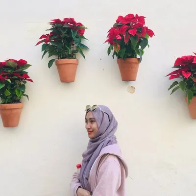 Aniss profile